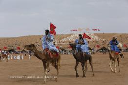 Image du Maroc Professionnelle de  Des hommes du désert s’apprêtent à une course de chameaux organisé dans un site désertique sur lequel la ville de Tan Tan a toujours accueilli la majorité des tribus et des grandes familles nomades du désert lors d'un grand Moussem, Samedi 7 Septembre 2013. Le festival parrainé par l'UNESCO rassemble des milliers de nomades du Maroc. (Photo / Abdeljalil Bounhar) 